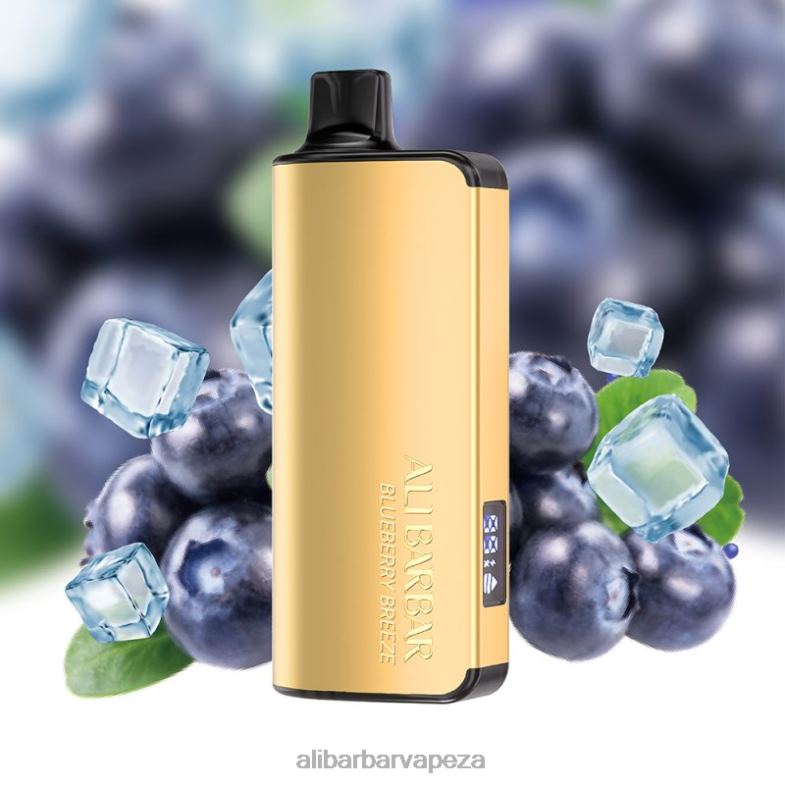 Alibarbar Ingot 20000 Disposable Vape Blueberry Breeze XVP0X32 - Alibarbar Vape Flavours