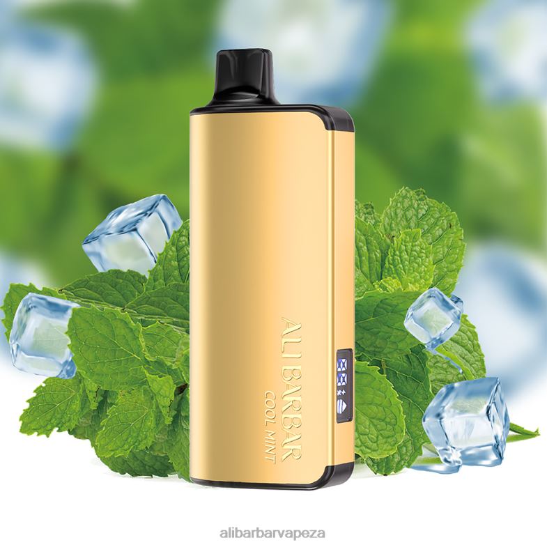 Alibarbar Ingot 9000 Disposable Vape Cool Mint XVP0X18 - Alibarbar Vape Review